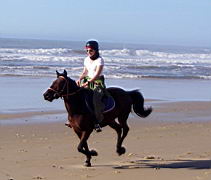 1077 cintsa IMGP5702.JPG